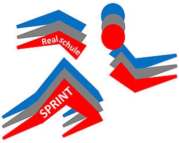 SPRINT Logo